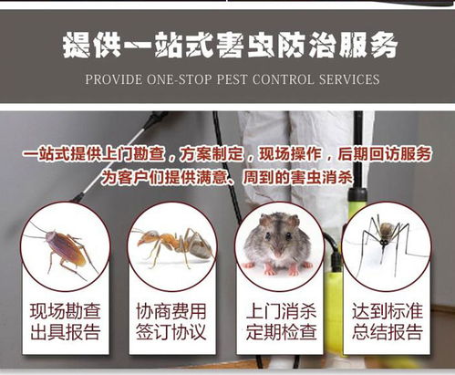 重庆金蚂蚁 图 灭老鼠公司 重庆有害生物防治